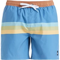 Swim shorts Quiksilver Everyday Straight Volley