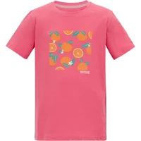 T-Shirt Regatta Bosley