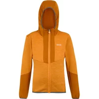 Full zip hoodie for kids Regatta Dissolver X image 2