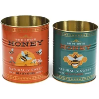 Storage box Rex London Honey (x2)