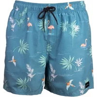 Badehose für Kinder Rip Curl Pajarito Volley