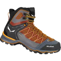 Hiking shoes Salewa MS MTN Trainer Lite Mid GTX image 2