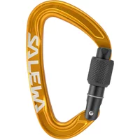 Carabiner Salewa Ortles Screw image 2