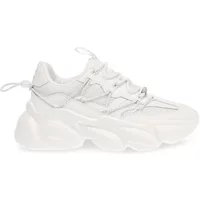 Women's Trainers Steve Madden Spectator