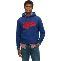 Hooded sweatshirt Superdry Flyers Script