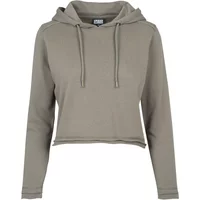 Sudadera con capucha Urban Classic terry