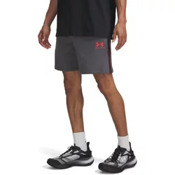 Shorts Under Armour Icon