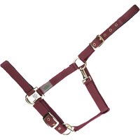 Halfter für Pferd USG Everyday Halfter für Pferd USG Everyday