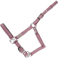 Halfter für Pferd USG Everyday Halfter für Pferd USG Everyday