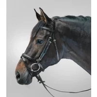 Combiné hoofdstel met neusriem Star Lifestyle