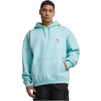 Hooded sweatshirt Zoo York Zm243-039-2 Apple