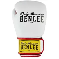 Boxhandschuhe Kind Benlee Draco