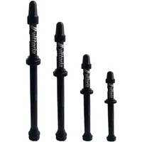 Valve tubeless Vittoria (x2)