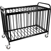 Aufbewahrungswagen aus Metall