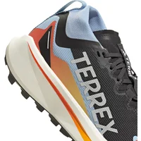 Damesschoenen adidas Terrex Agravic GTX
