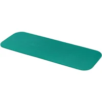 Tappeto AIREX Fitline 200