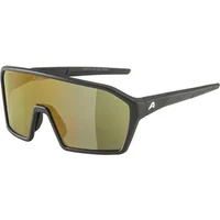 Occhiali da sole Alpina Ram Q-Lite