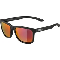 Lunettes de soleil Alpina Burst