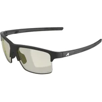 Lunettes de soleil Alpina Eagle Q-lite