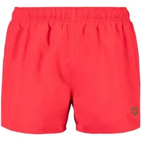 Short da bagno Arena Fundamentals X-R