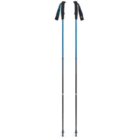 Postes de sendero Black Diamond (x2)