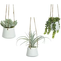 Kunstmatige vetplant om op te hangen BigBuy Home