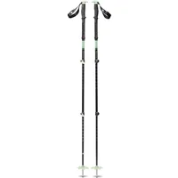 Skistokken Black Diamond Expedition 3