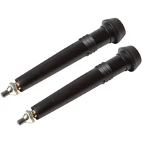Bâton de trail Black Diamond (x2)