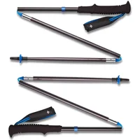 Wandelstok Black Diamond Distance Z