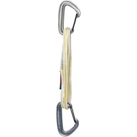 Dégaine Klettern Black Diamond Miniwire Alpine Quickdraw
