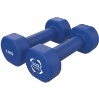 Neopren-Hanteln Body Revolution 2,5kg (x2)