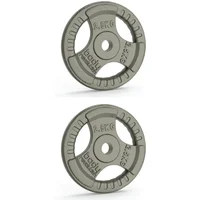 Disco in ghisa Body Revolution 2,5kg (x2)
