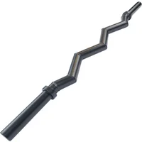 Barre de musculation Body Solid Olympic Fat Curl