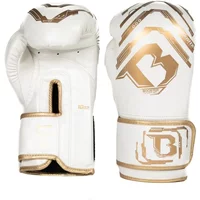 Gants de boxe enfant Booster Fight Gear BG Elite V2.1