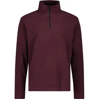 Polaire arctique CMP