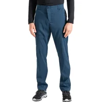 Pantaloni Dare 2B Torrek Mountain