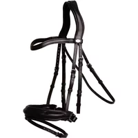 Soft leather riding bridle with noseband Dy'on