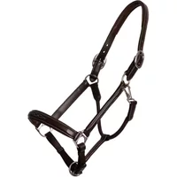 Leather halter for horses Dy'on Fancy Working Collection