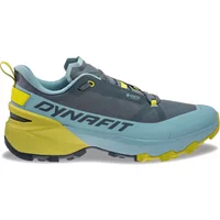 Hiking shoes Dynafit Transalper Gtx image 2