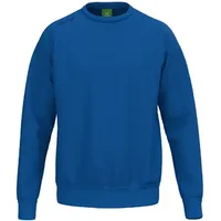 Sweatshirt child Erima TS