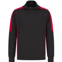 Kapuzensweatshirt Finden + Hales Team