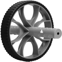 Roue abdominale Fitpaddy