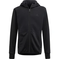 Sweat à capuche enfant adidas Designed to Move Fleece (Gender Neutral)