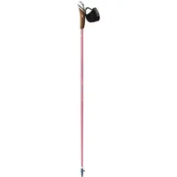 Nordic Walking Stock Guidetti Vent des Fjords UT70 Steppe