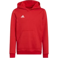 Sweatshirt à capuche enfant adidas Entrada 22