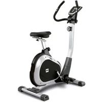 Cyclette Bh Fitness Artic