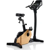 Bicicleta estática ergométrica Hammer Maximum Spheris 4.0 NorsK
