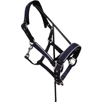 Halter and lead rope set for horse Harcour Bamara