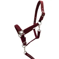 Halter and lead rope set for horse Harcour Cinsy