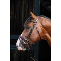 Bridles for horses HFI Pull-Back Venezia